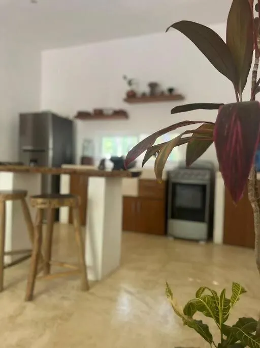 Holiday home Casa Dharma House In The Jungle Villa Macario Gomez Mexico