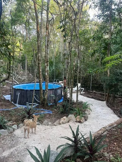 Holiday home Casa Dharma House In The Jungle Villa Macario Gomez