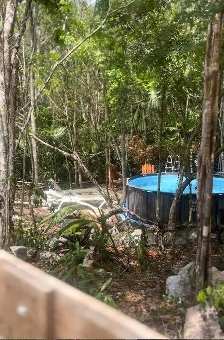 Holiday home Casa Dharma House In The Jungle Villa Macario Gomez