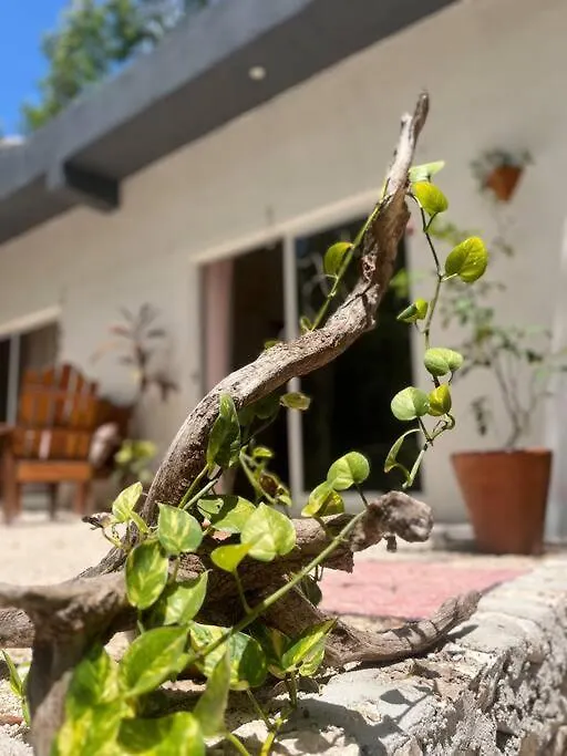 Macario Gomez Casa Dharma House In The Jungleヴィラ 0*, Macario Gomez