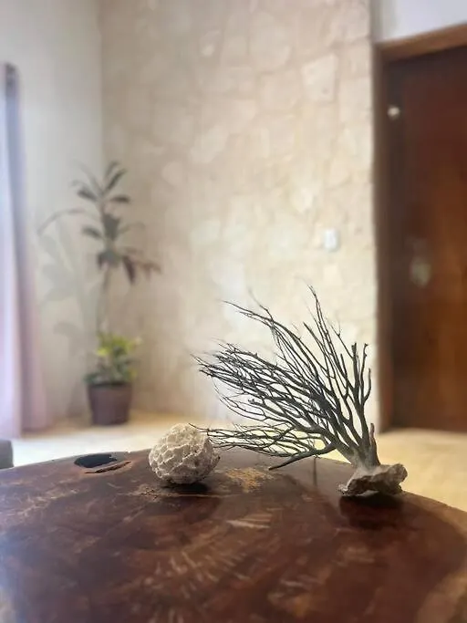Macario Gomez Casa Dharma House In The Jungleヴィラ 別荘