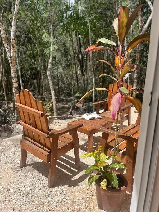 Macario Gomez Casa Dharma House In The Jungleヴィラ 別荘 Macario Gomez