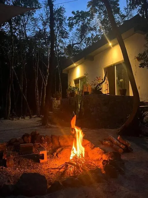 Macario Gomez Casa Dharma House In The Jungleヴィラ